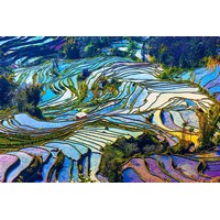 NDLI: The Awe-Inspiring Beauty of Rice Terraces